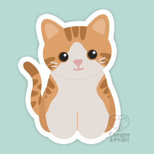 Looks Like My Cat! Creamsicle white and orange tabby cat magnet