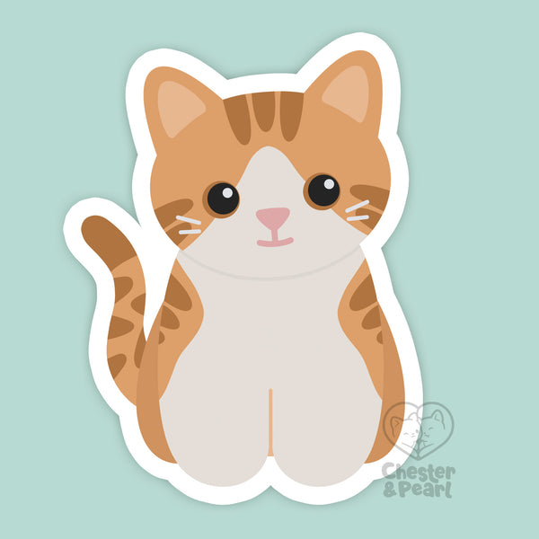 Looks Like My Cat! Creamsicle white and orange tabby cat magnet