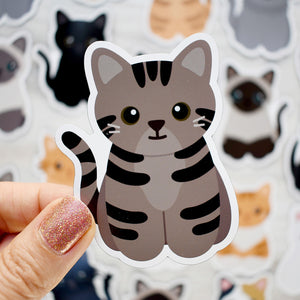 Looks Like My Cat! Brown tabby cat magnet