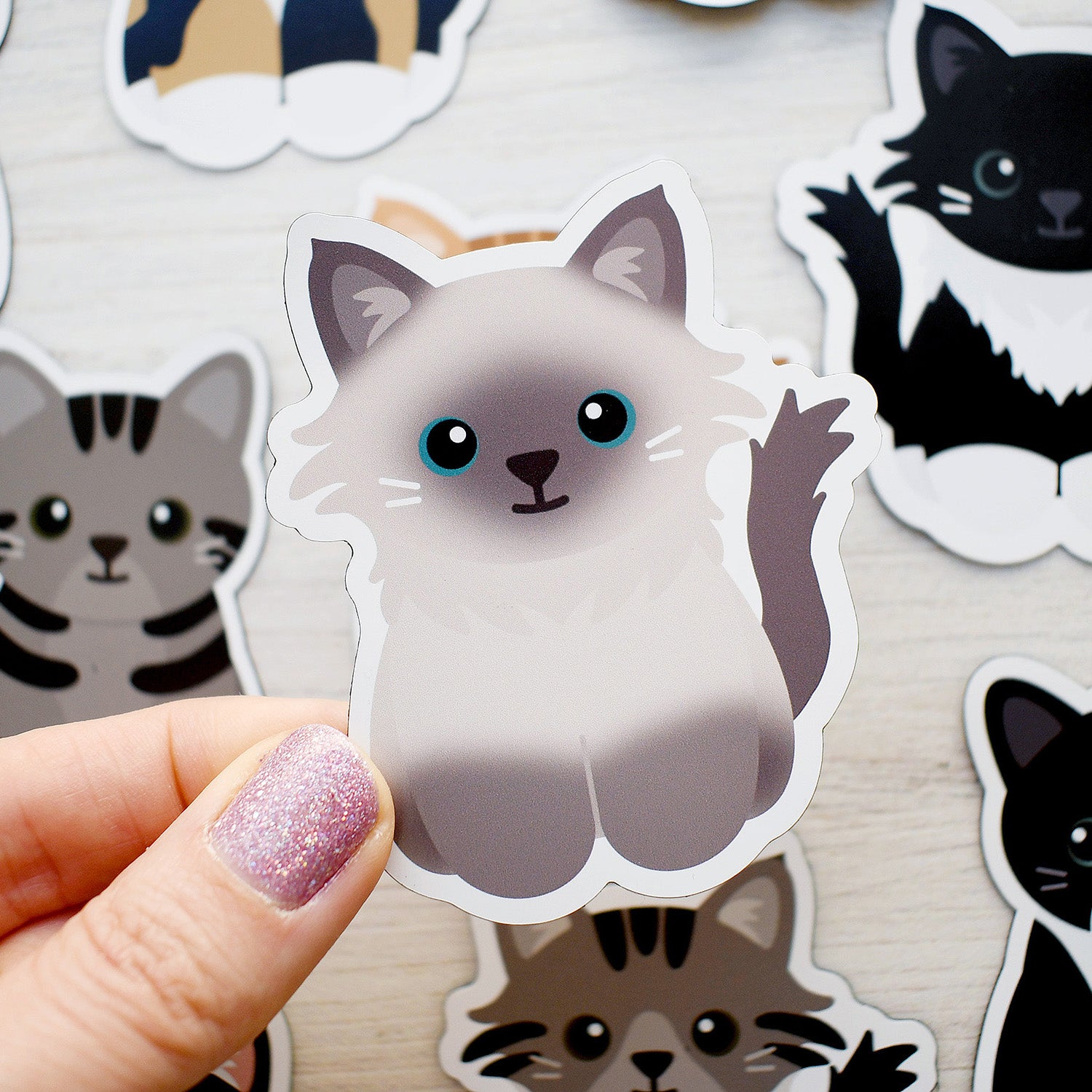 Looks Like My Cat! Blue Point Ragdoll cat magnet