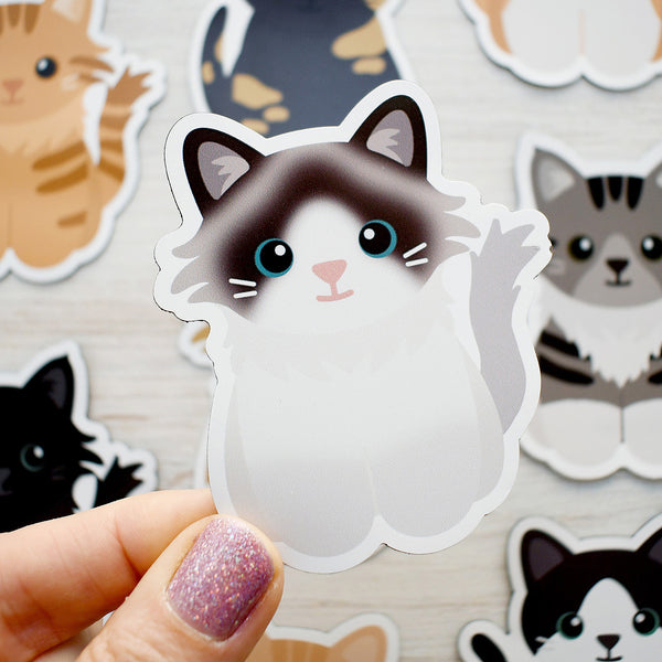 Looks Like My Cat! Bicolor Seal Point Ragdoll cat magnet