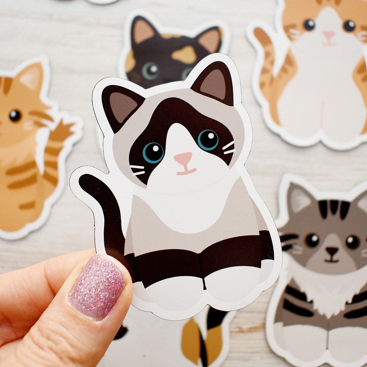 Looks Like My Cat! Snowshoe cat magnet