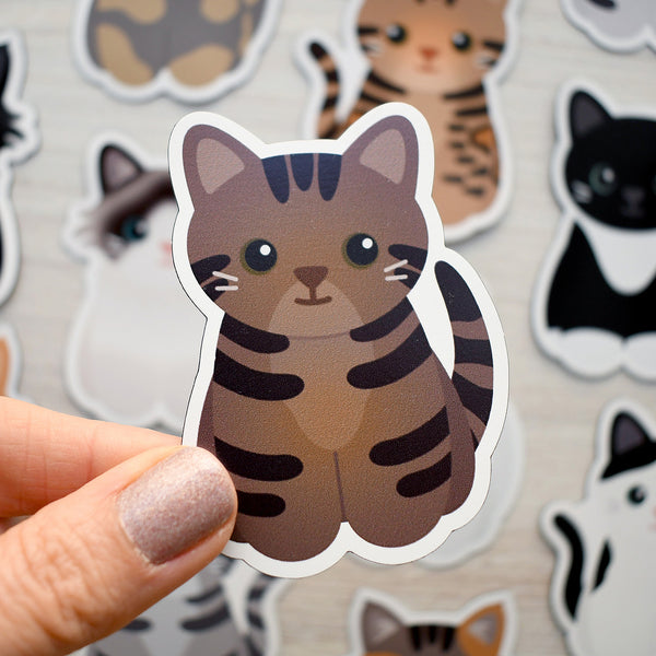 Looks Like My Cat! Brown tabby cat magnet