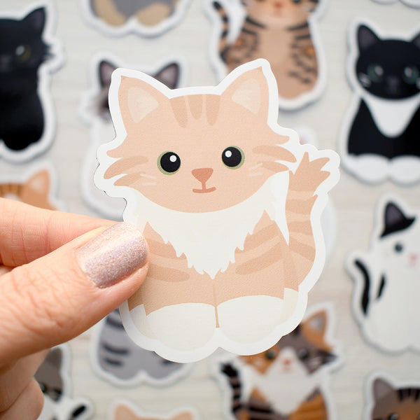 Looks Like My Cat! Buff cream tabby cat magnet