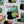 Raleigh Window View Cat Fridge Magnet