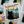 Wilmington Window View Cat Fridge Magnet