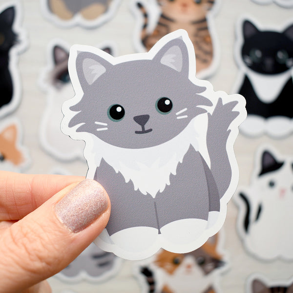 Looks Like My Cat! Gray tuxedo cat magnet