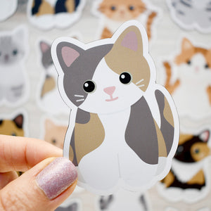 Looks Like My Cat! Dilute calico cat magnet