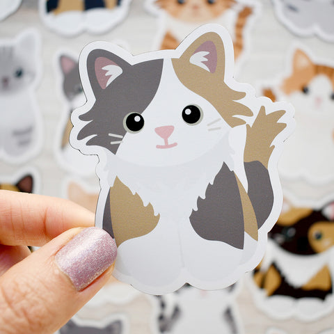 Looks Like My Cat! Long-haired dilute calico cat magnet