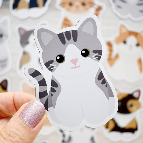 Looks Like My Cat! White and gray tabby cat magnet