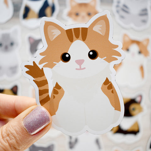 Looks Like My Cat! Long-haired orange tuxedo cat with blaze magnet