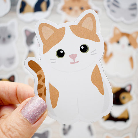 Looks Like My Cat! Orange Turkish van cat magnet