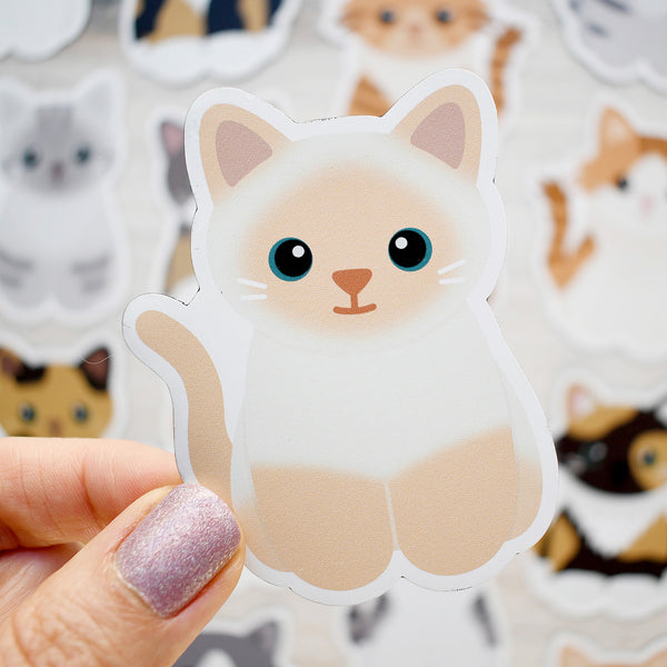 Looks Like My Cat! Flame point Siamese cat magnet