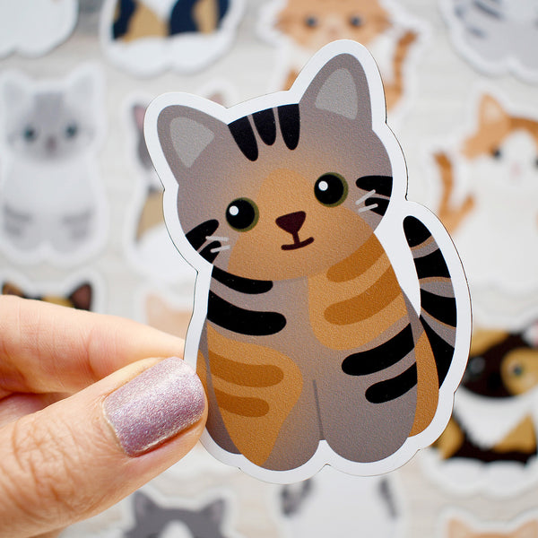 Looks Like My Cat! Tabico/Torbie cat magnet