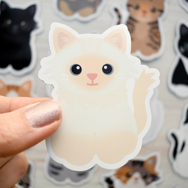 Looks Like My Cat! Ragdoll cat magnet