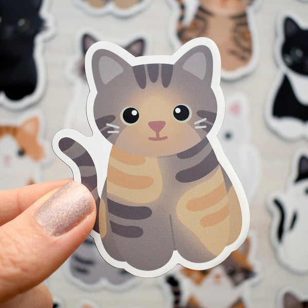 Looks Like My Cat! Dilute torbie cat magnet