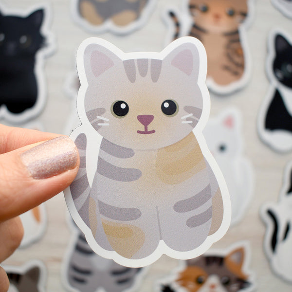 Looks Like My Cat! Dilute torbie cat magnet