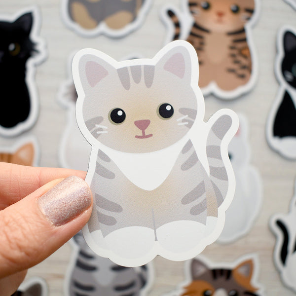 Looks Like My Cat! Dilute torbie cat magnet