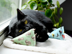 Black cat playing with Pouncers cat toys