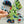 Backyard Birds Pouncers Cat Toys