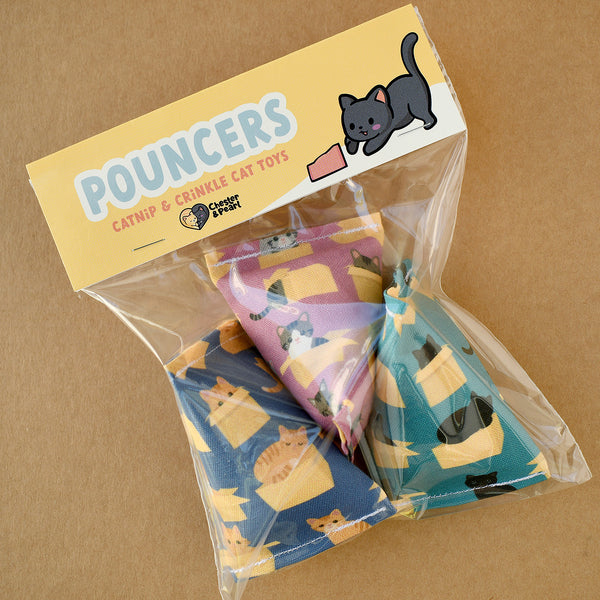 Out For Delivery Pouncers Cat Toys