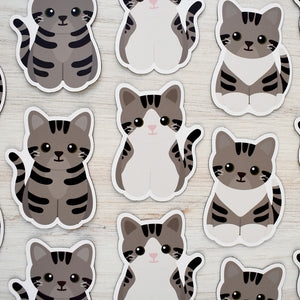 Looks Like My Cat! Brown tabby cat magnet