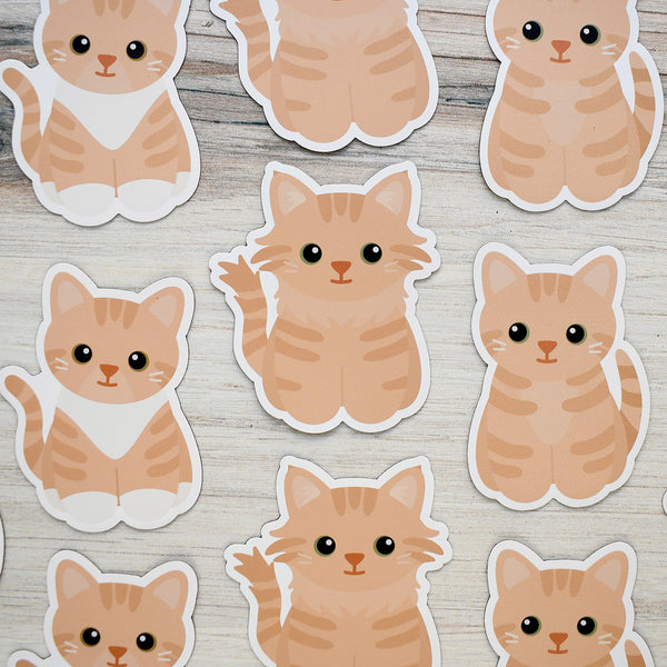 Looks Like My Cat! Buff cream tabby cat magnet