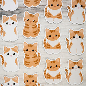Looks Like My Cat! Orange tabby cat magnet