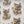 Looks Like My Cat! Dilute tortoiseshell cat magnet