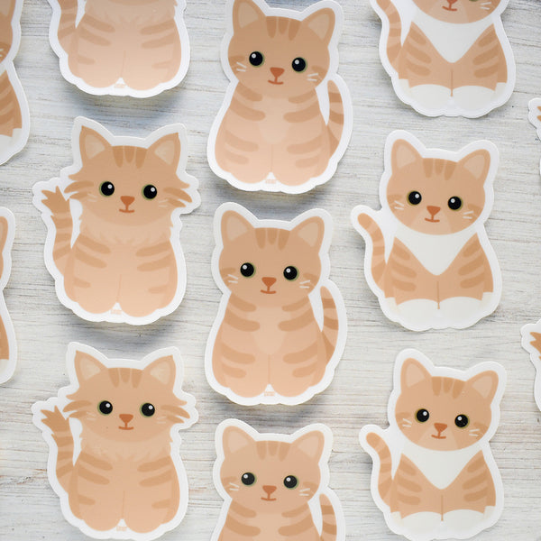 Looks Like My Cat! Buff cream tabby cat sticker