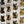 Looks Like My Cat! Tortoiseshell cat sticker