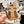 Looks Like My Cat! Brown Bengal cat sticker