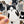 Looks Like My Cat! Black and white bicolor cat sticker