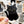Looks Like My Cat! Black cat sticker