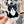 Looks Like My Cat! Black tuxedo cat sticker