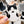 Looks Like My Cat! Black and white bicolor cat sticker