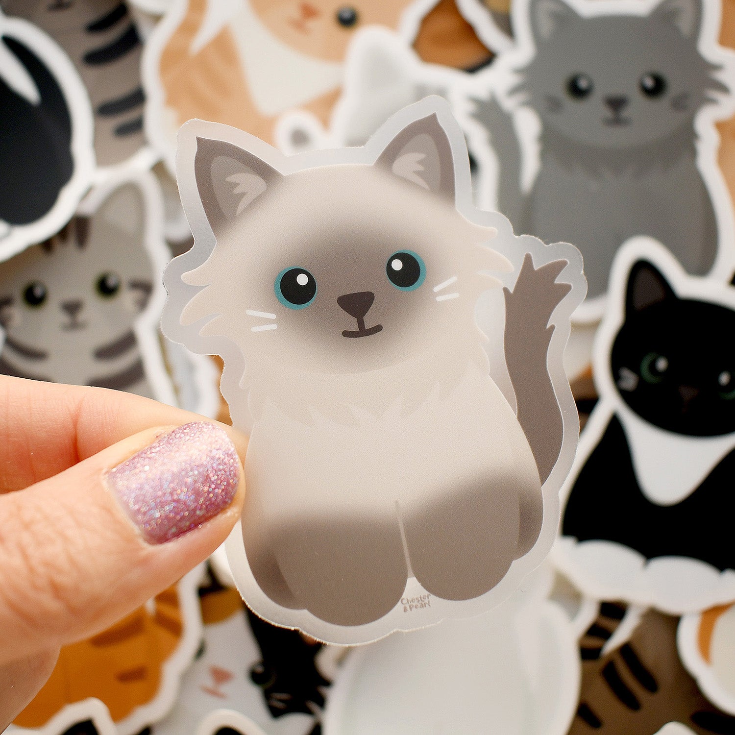 Looks Like My Cat! Blue Point Ragdoll cat sticker