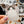 Looks Like My Cat! Ragdoll cat sticker