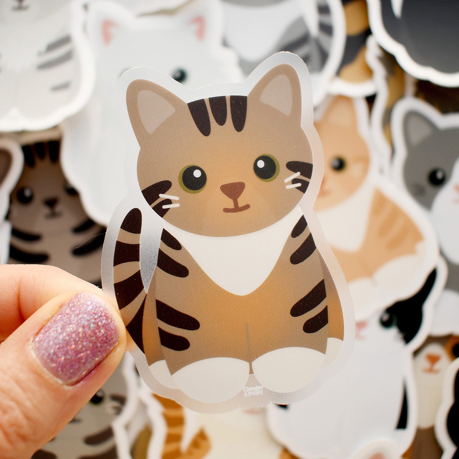 Looks Like My Cat! Torbie tuxedo cat sticker