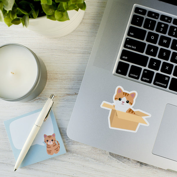 Orange Cat in a Box 2.5x3-in. Vinyl Sticker