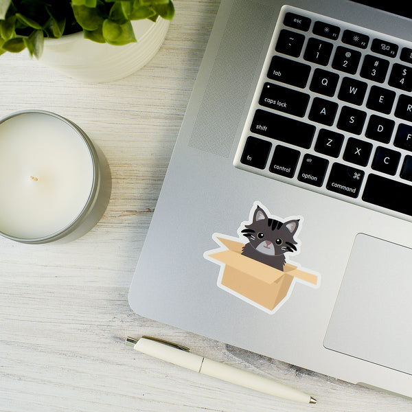 Tabby Cat in a Box 2.5x3-in. Vinyl Sticker