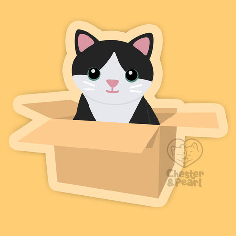 Black Tuxedo Cat in Box 3-in. Clear Vinyl Sticker