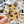 Looks Like My Cat! Tortoiseshell cat sticker