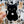 Looks Like My Cat! Black cat with white locket sticker