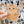 Looks Like My Cat! Long-haired orange tabby cat sticker