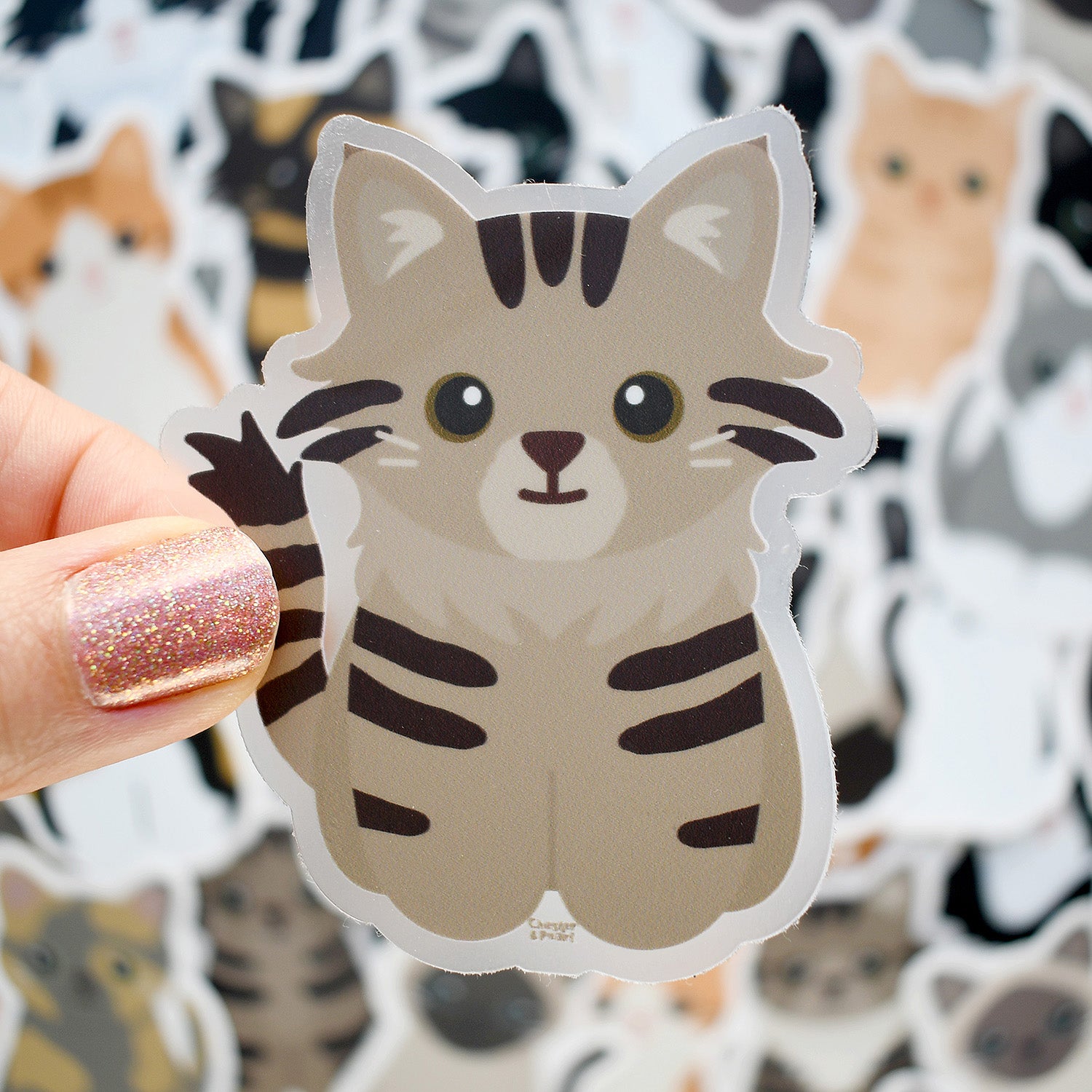 Looks Like My Cat! Maine Coon long-haired brown tabby cat sticker