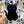 Looks Like My Cat! Black cat sticker