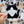 Looks Like My Cat! Black tuxedo cat sticker