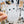 Looks Like My Cat! White cat sticker