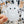 Looks Like My Cat! White cat sticker